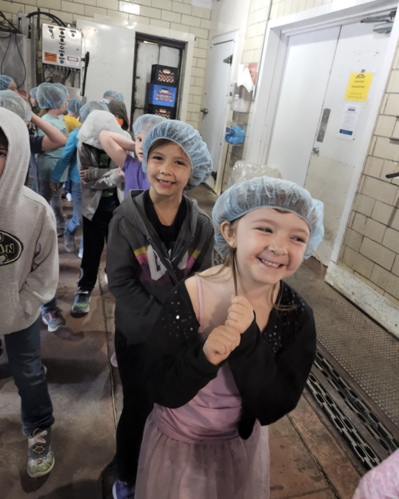 Students wearing hairnets at cow farm