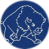 Small_1511206464-borderbison