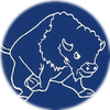 Small_1511206494-borderbison