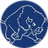 Small_1511272314-borderbison