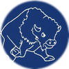 Small_1511272452-borderbison